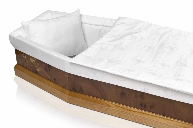 ASTERA SUR CARTON POLYCOTON CACHE BORD SERRE