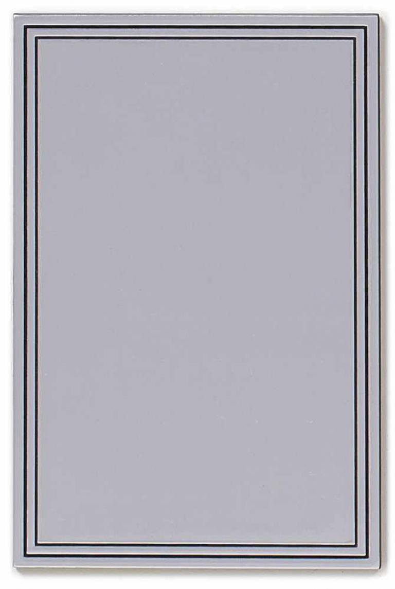 PLAQUE NG PLASTIQUE NK 2 FILETS NOIR + ADHESIVE 175X115