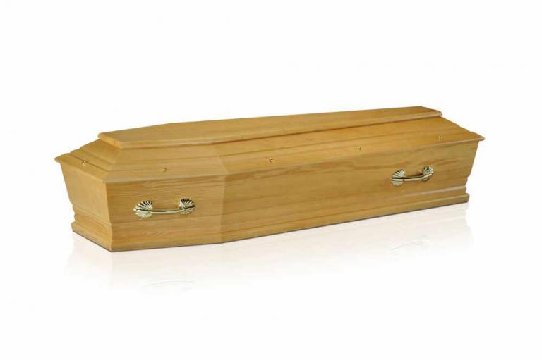 VESUVE PIN